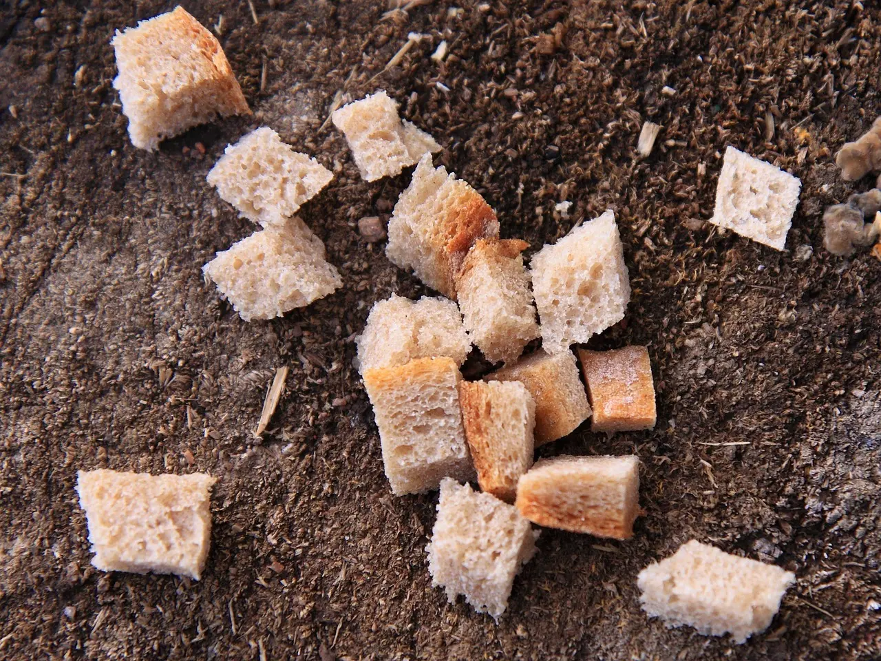 Zero waste i hverdagen: 20 måder at bruge dine madrester kreativt